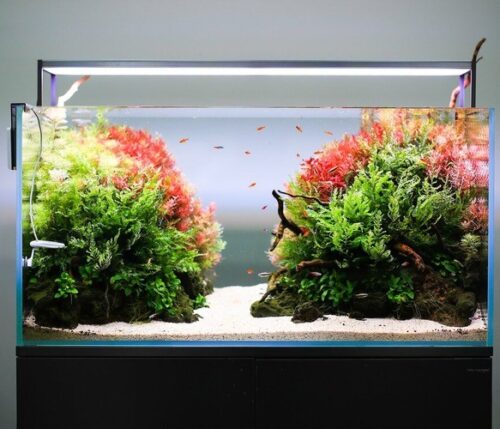 직사각형 아큐아스케이프 풀세트