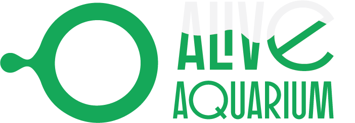 얼라이브 아쿠아리움